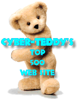 CyberTeddy Award